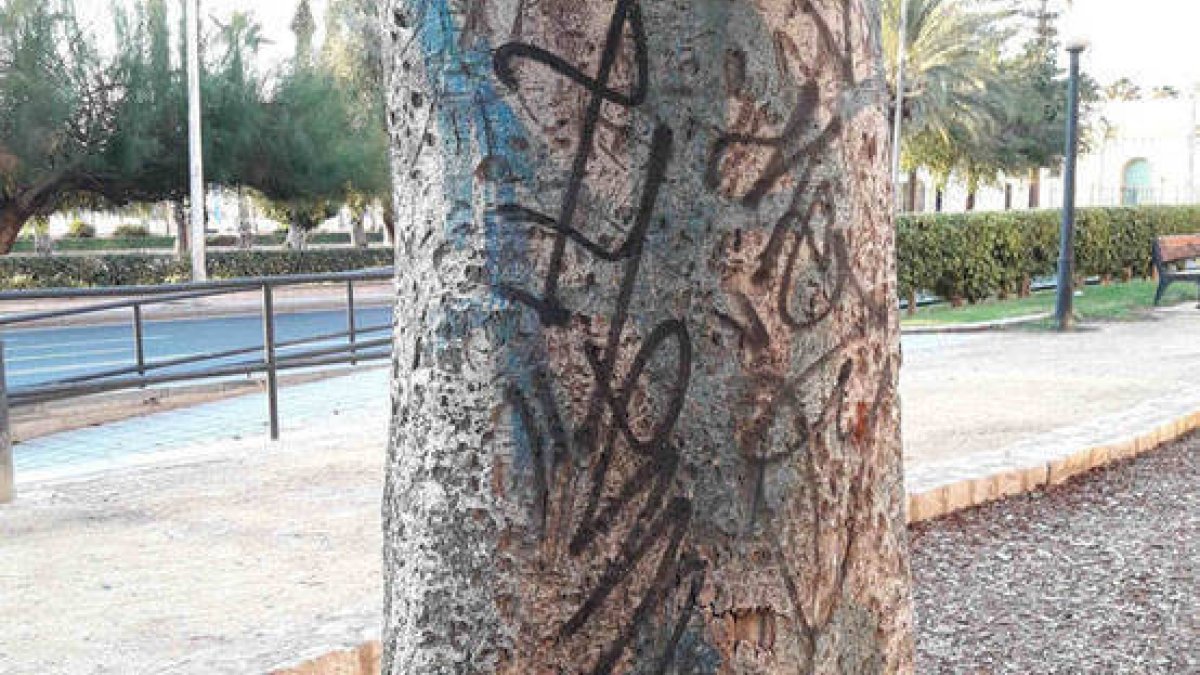 El árbol objeto de la gamberrada.