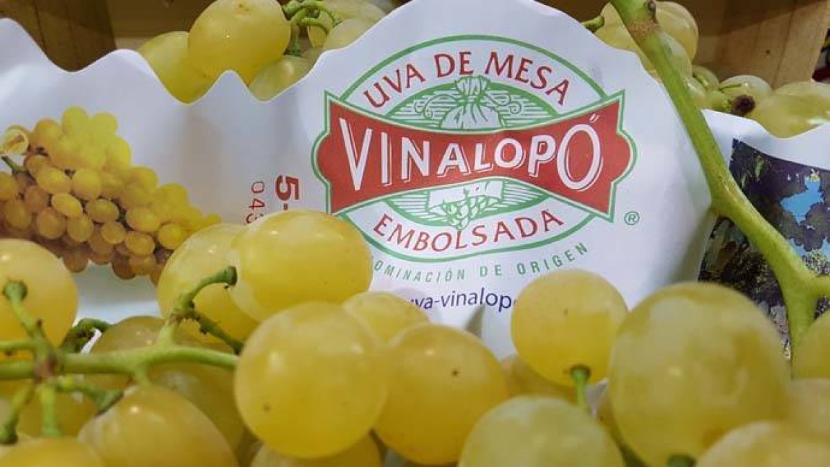 La uva del Vinalopó se cuela en los hogares españoles en Nochevieja