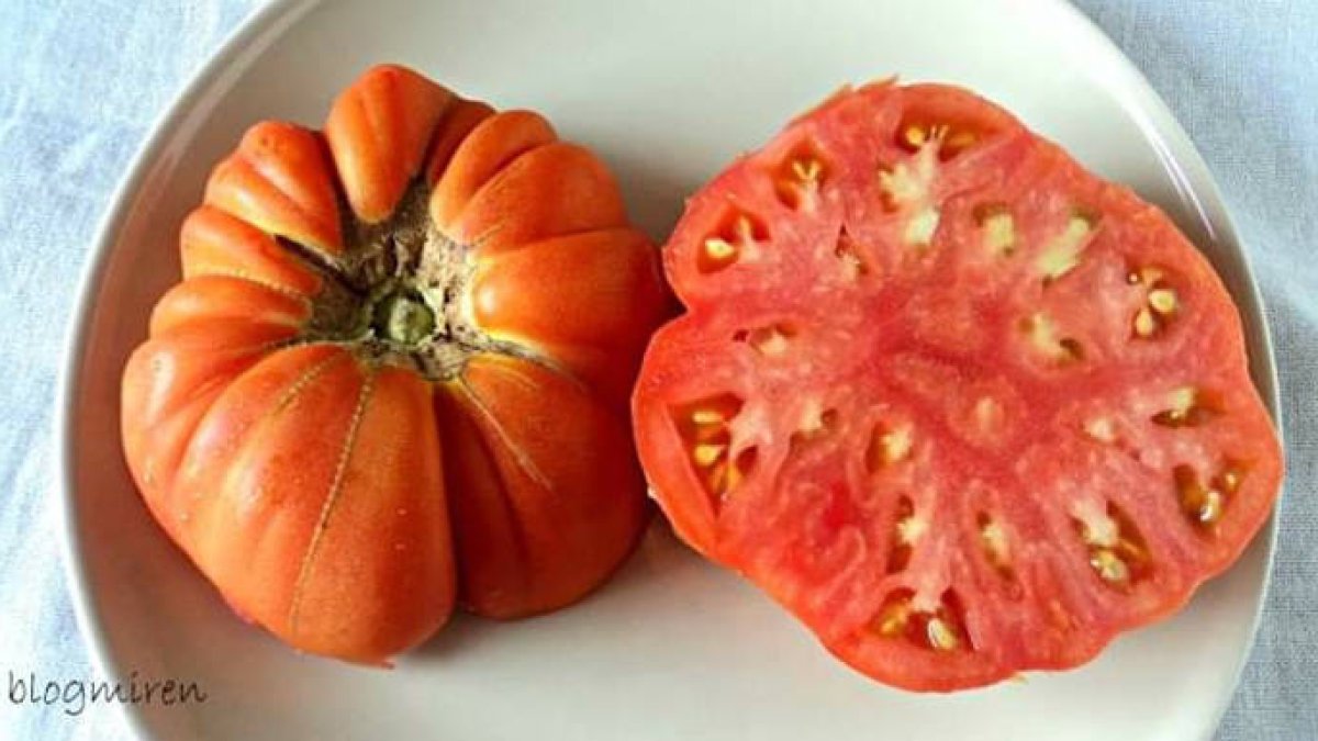 Tomate rosa abierto.