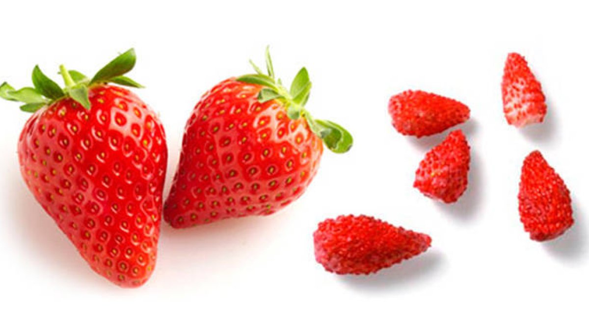 Fresones y fresas