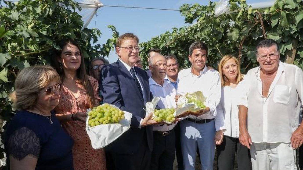 Puig apuesta por la apertura de nuevos mercados para la uva del Vinalopó