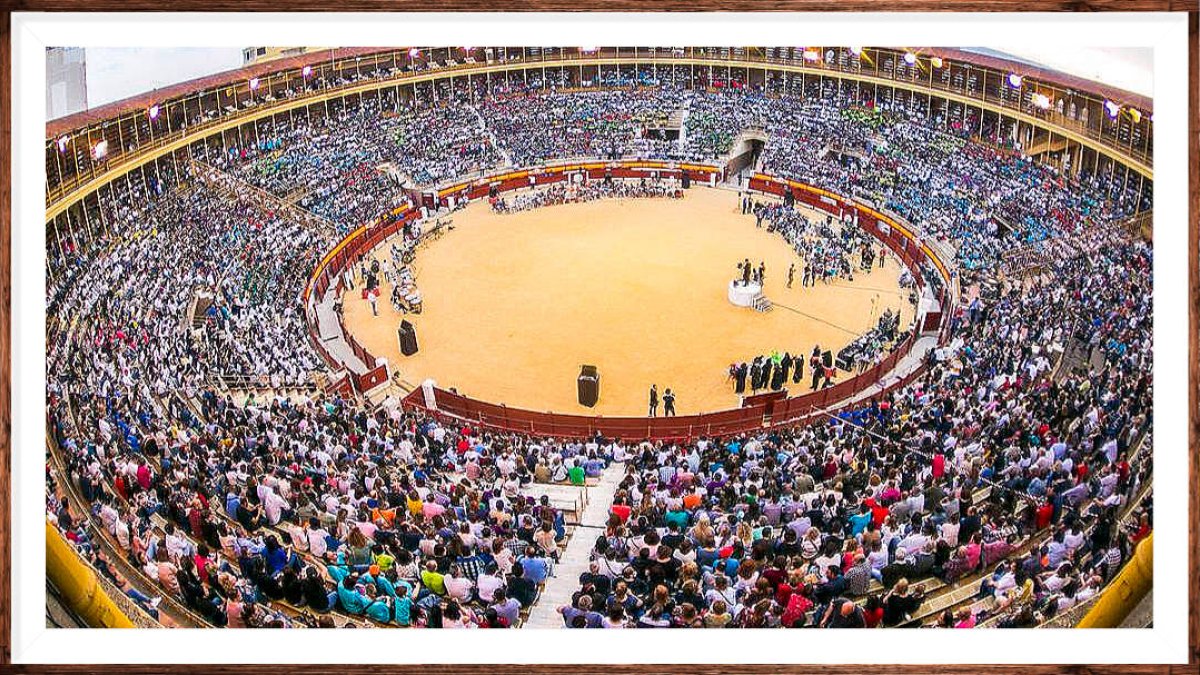 Toros: cultura, arte y libertad