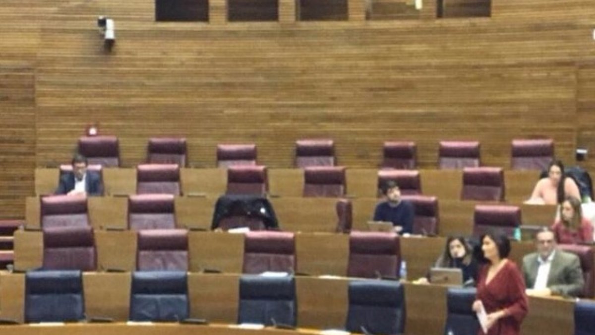 La soledad de la consellera de Sanidad. No la oyen ni los suyos