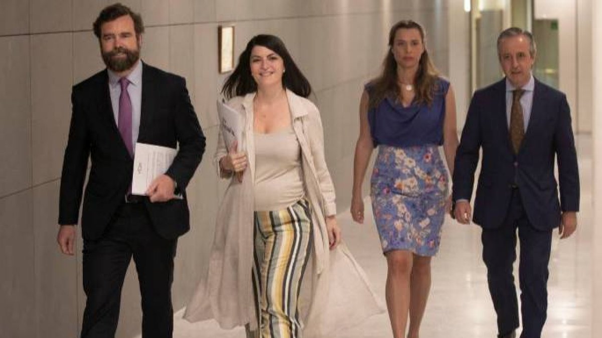 La cúpula del Grupo Parlamentario de Vox en el Congreso, este martes.