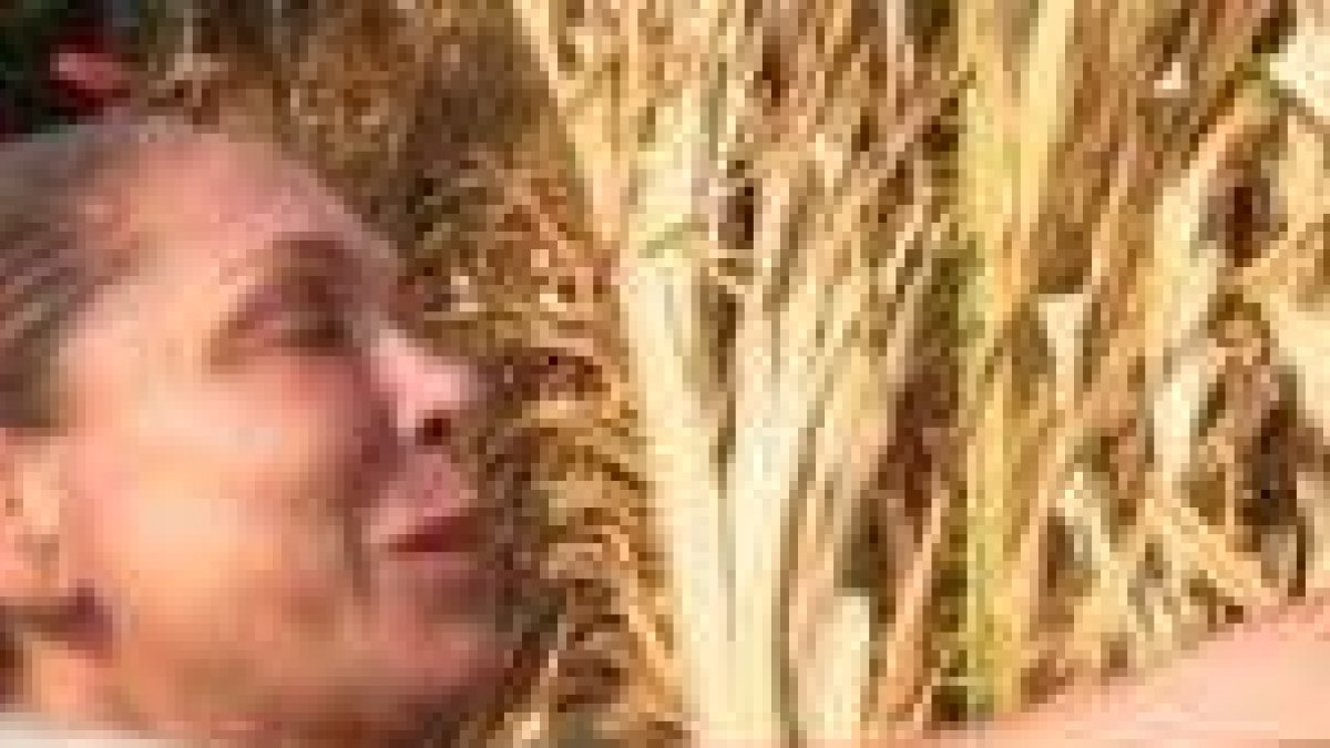Por enésima vez amenaza con abandonar “Supervivientes”…¿será esta la definitiva?