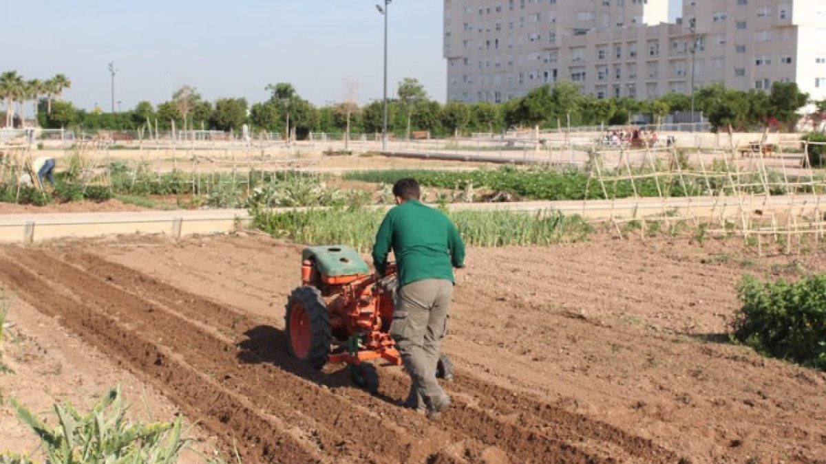 9.000 agricultores temen por sus tierras con la nueva Ley de la Huerta