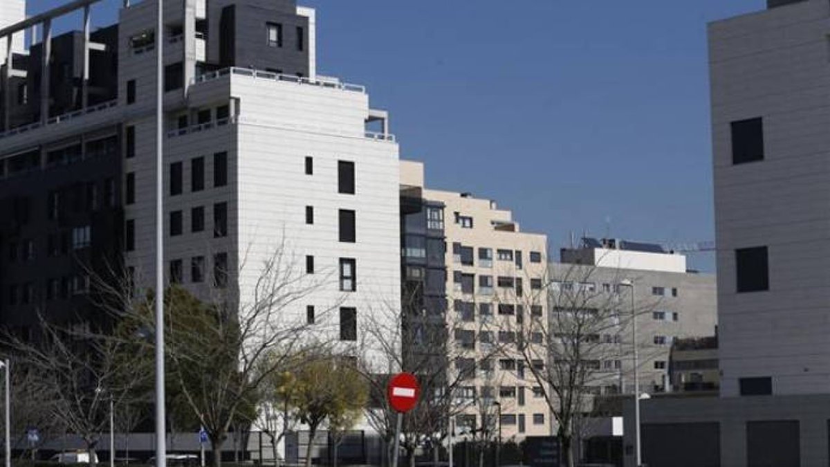 La selva y el mercado negro de alquiler