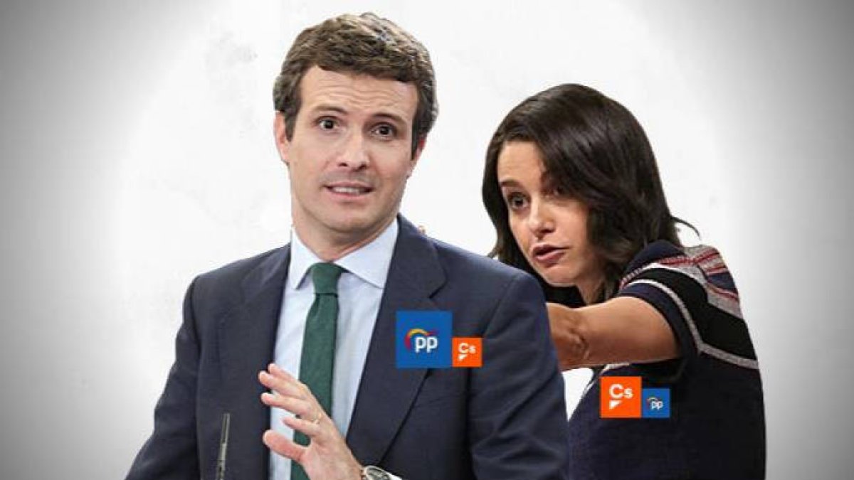 El PP aceptará la coalición con Cs en Cataluña y País Vasco: en Galicia no