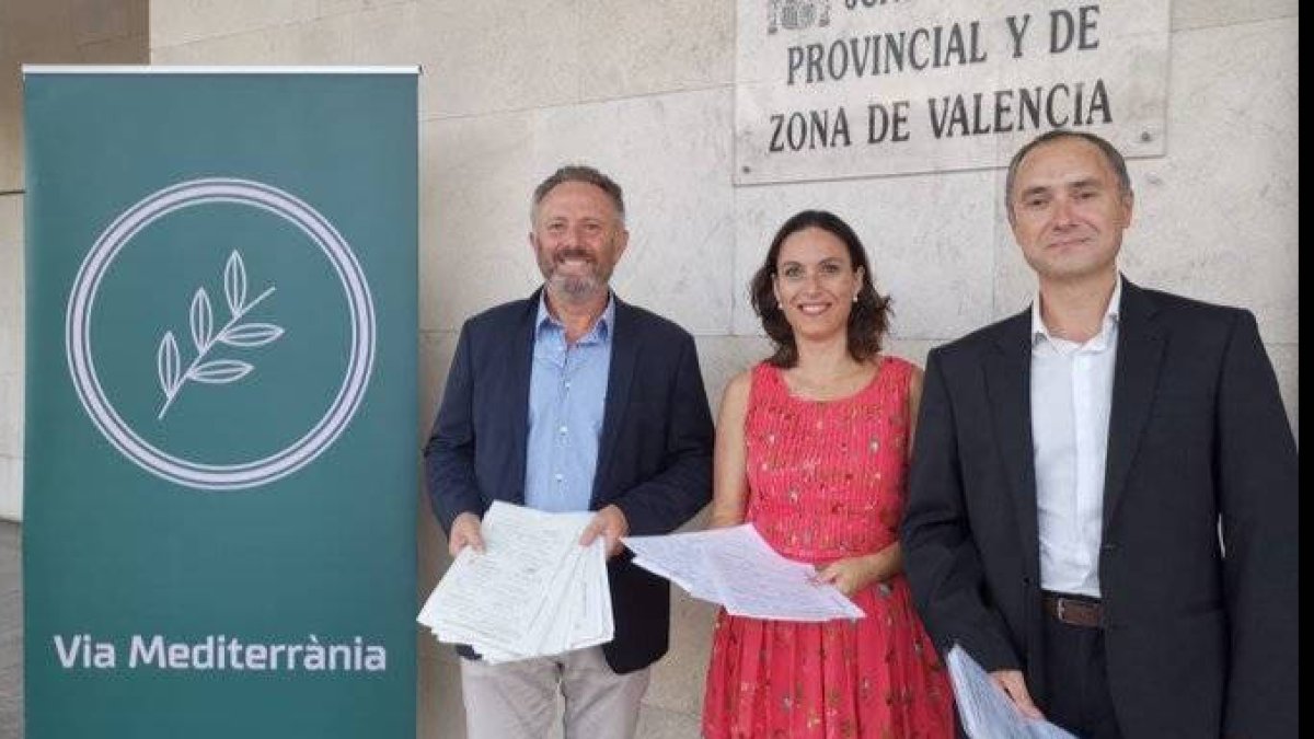 La Via Mediterrània de Bataller tendrá que esperar a otras elecciones para presentarse