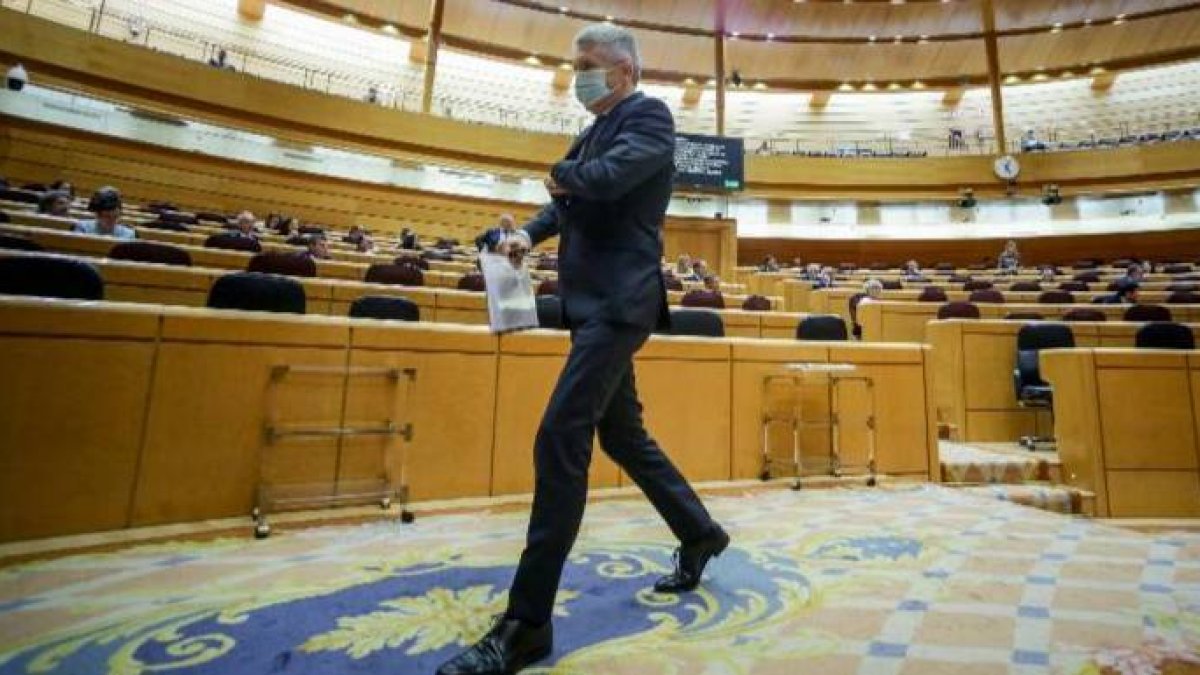 Marlaska, este martes en el pleno en el Senado.
