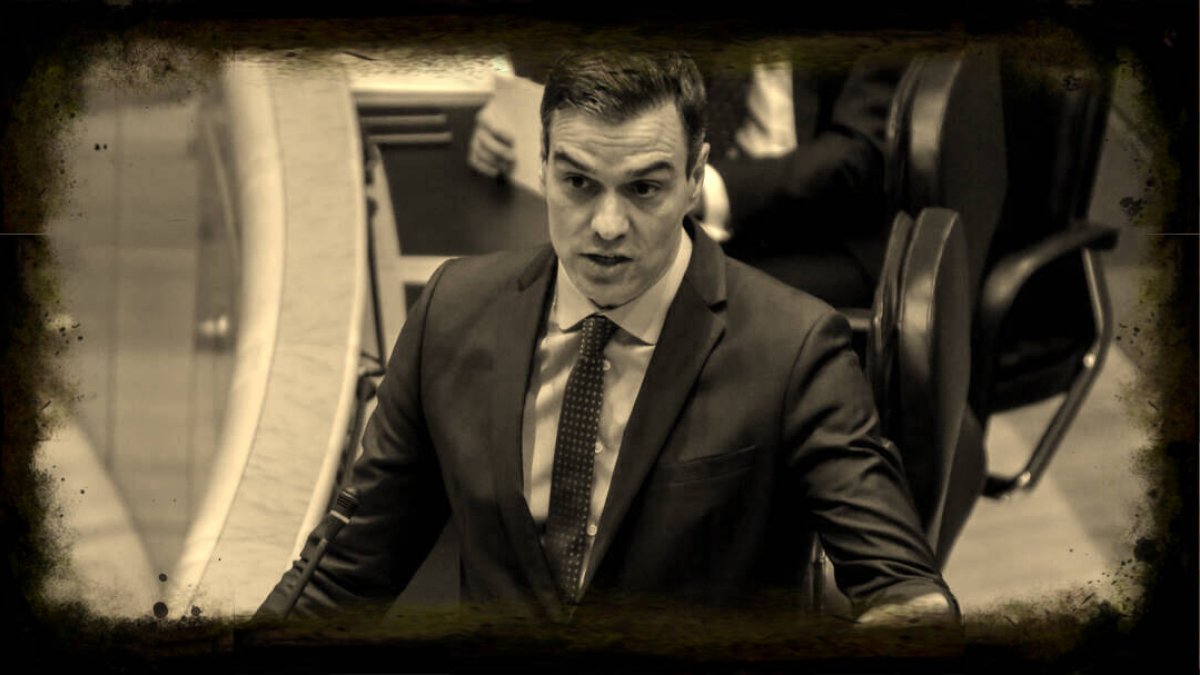 Pedro Sánchez, este martes en el Senado