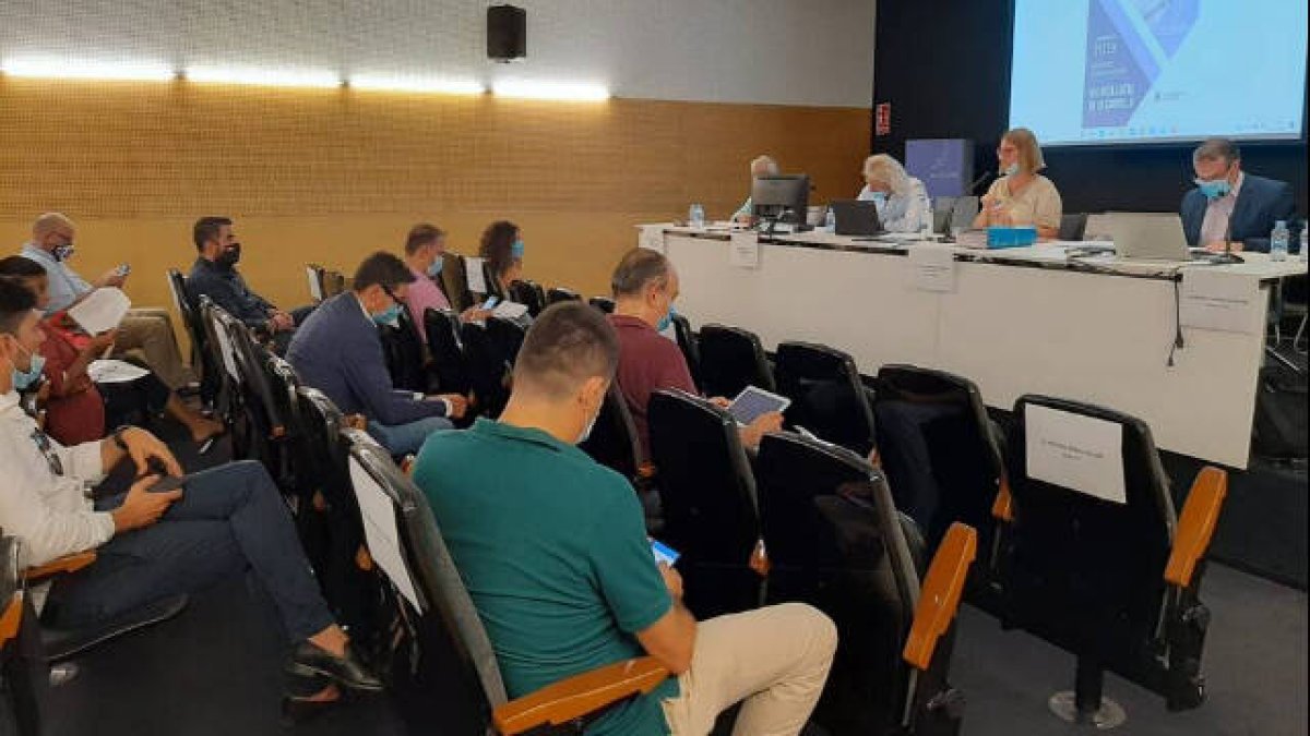 Las ayudas llegan a comercios, despachos profesionales, pequeñas empresas,empleadas de hogar, artistas o trabajadores agrícolas y del mar.