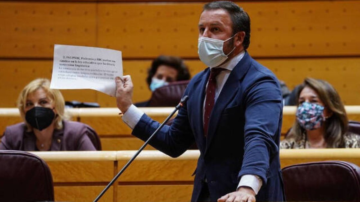 Pablo Ruz, Senador por Alicante del Partido Popular