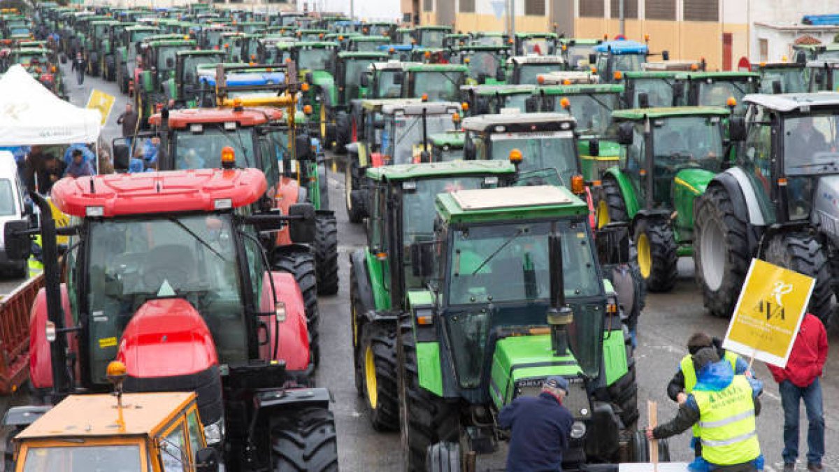 El Consell recorta las ayudas a los seguros agrarios a puertas de la tractorada