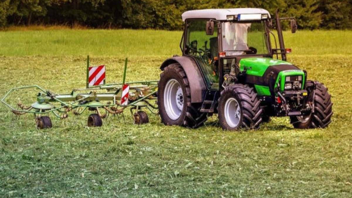 El campo necesita más de 100.000 trabajadores para recoger la cosecha