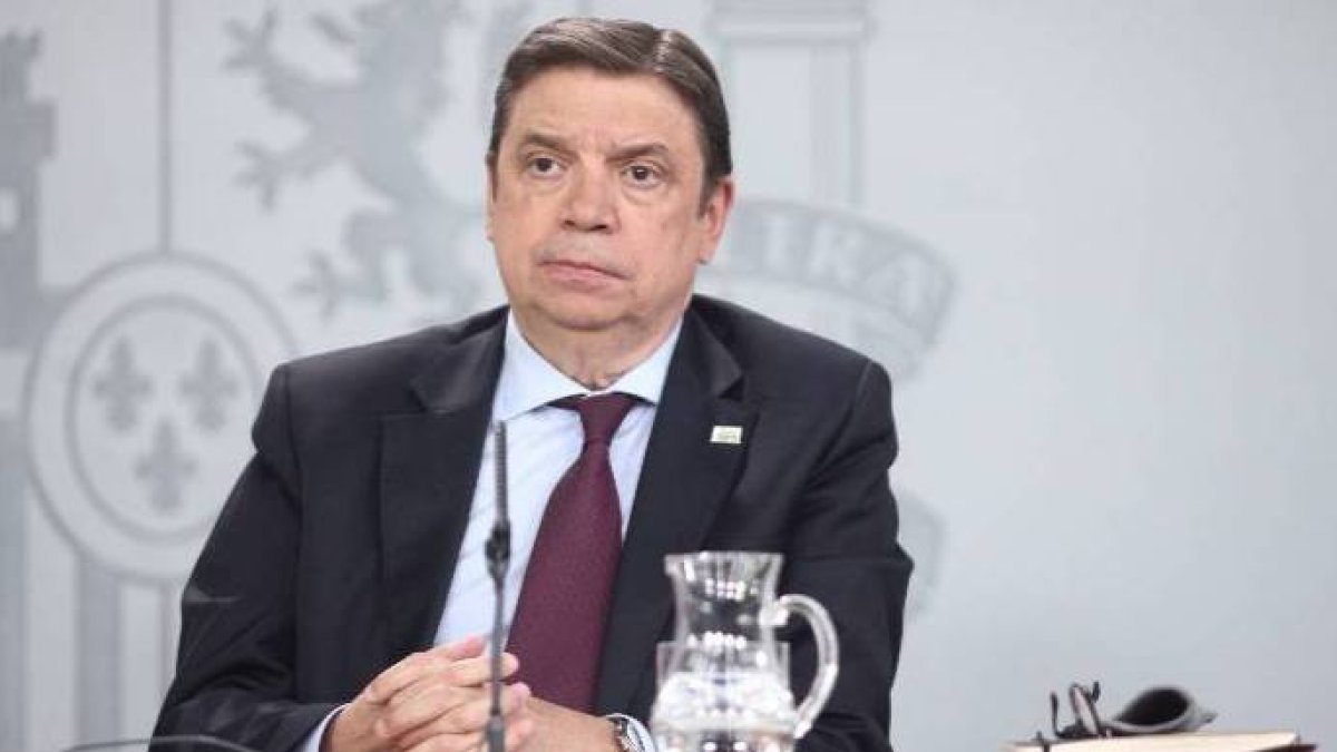El ministro de Agricultura, este martes tras el Consejo de Ministros.
