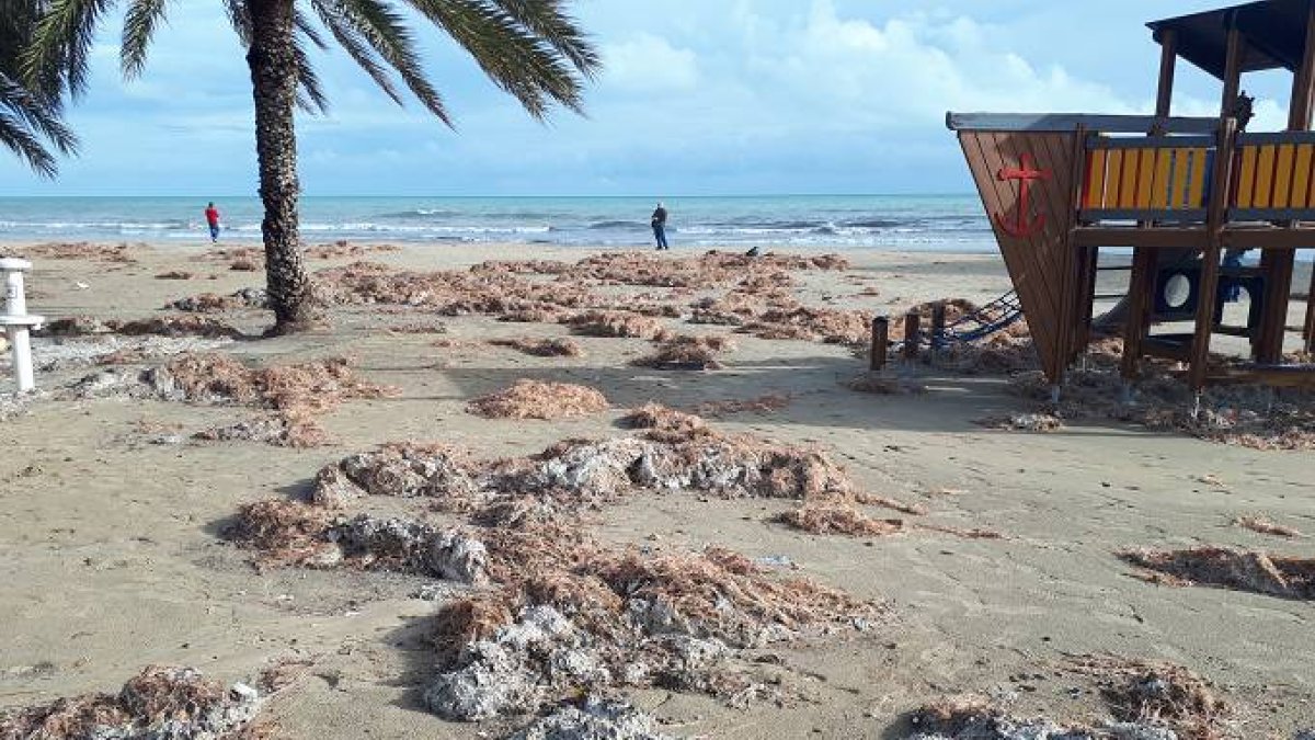 Playa del Postiguet.