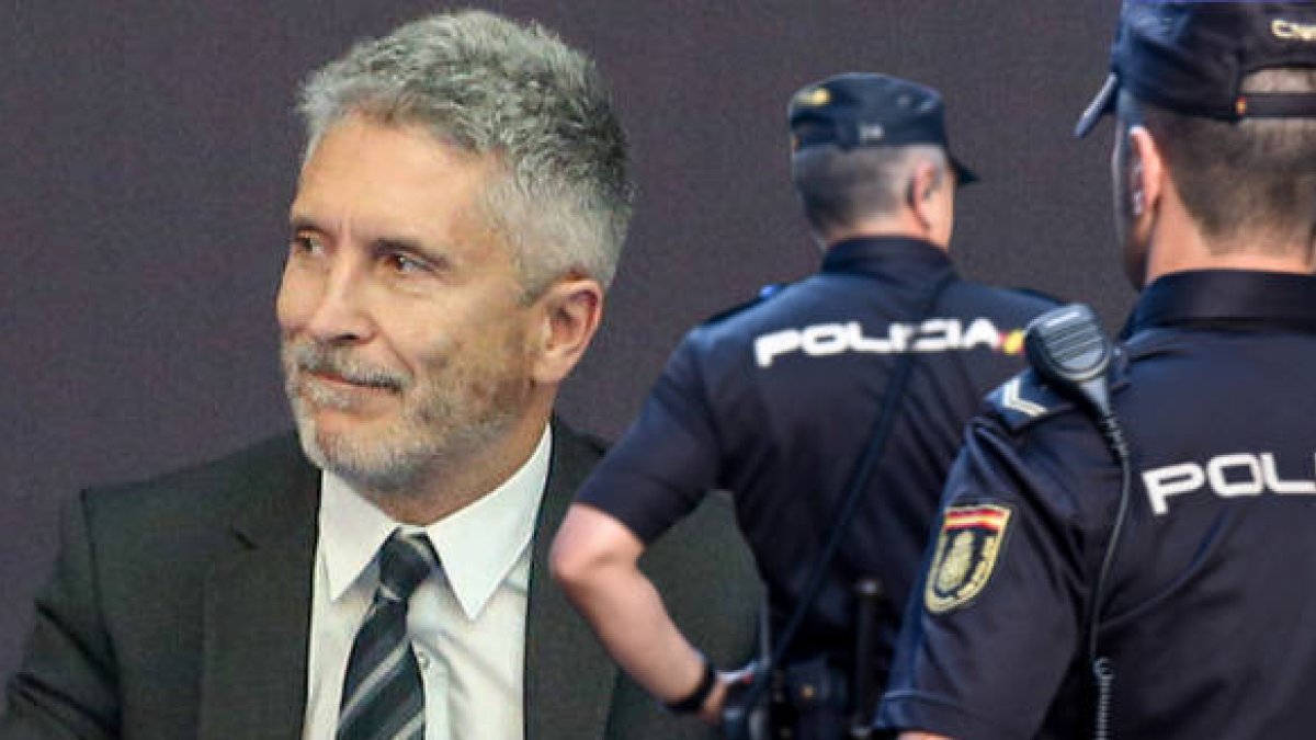 Fernando Grande-Marlaska, ministro del Interior.