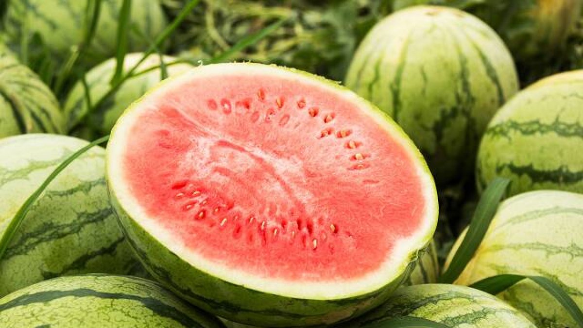 Mercadona compra 97.000 toneladas de sandía de origen nacional
