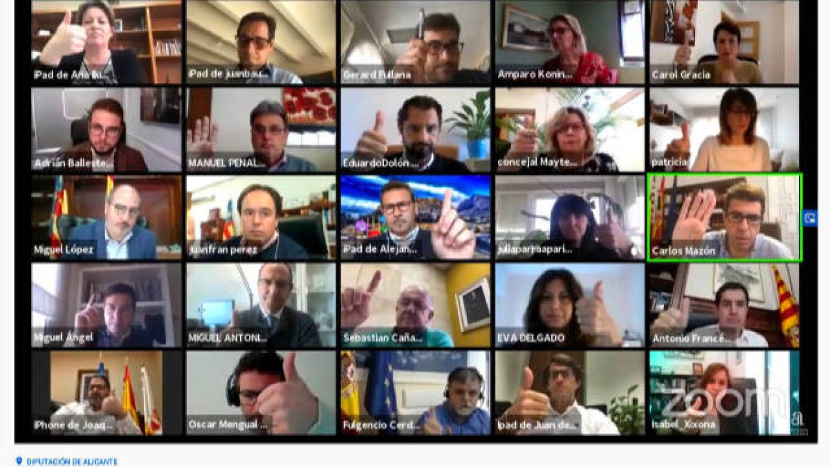 Los diputados durante el pleno realizado por videoconferencia.