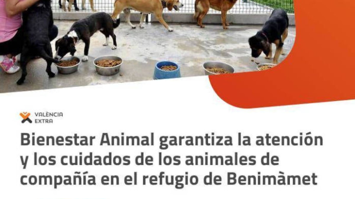 La imagen alejada de la realidad que utiliza Ribó