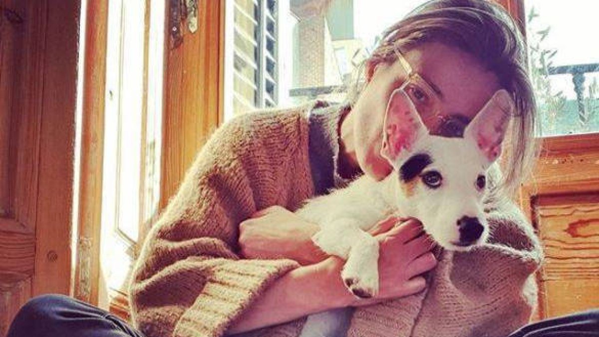 Sandra Barneda se ha metido un lío con su perro Nash.