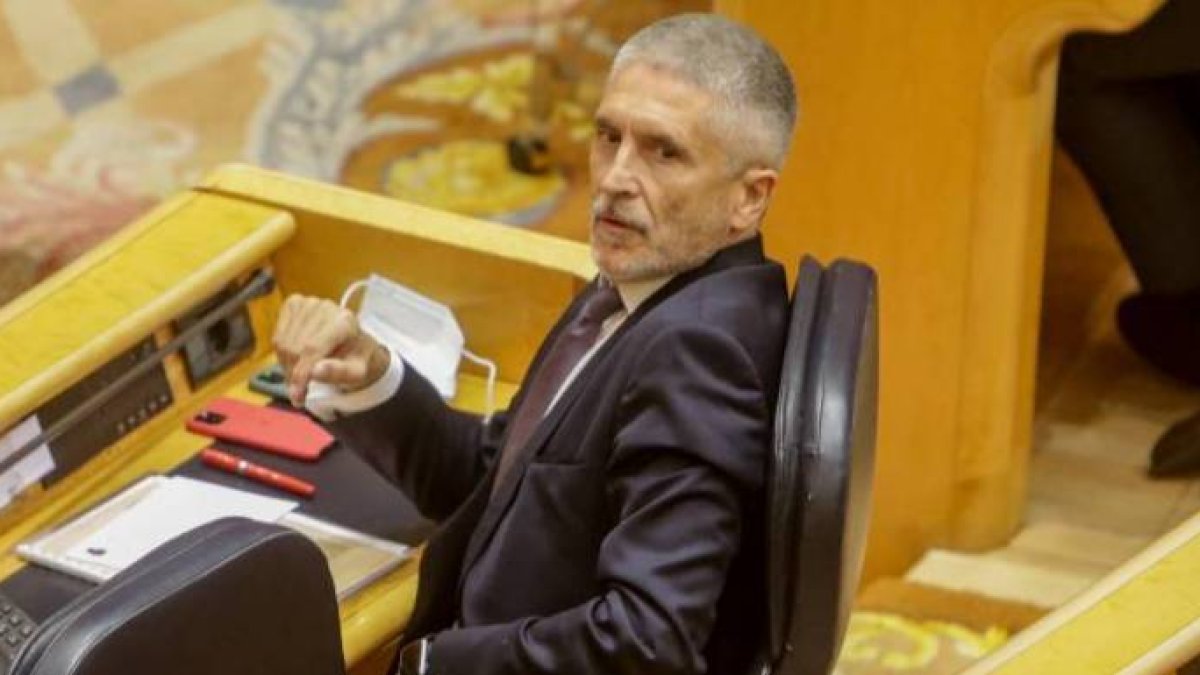 El ministro del Interior, este martes en el Senado.