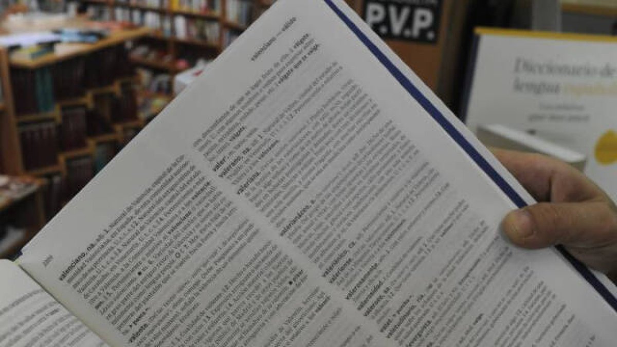 La Acadèmia Valenciana de la Llengua arremete contra el Tribunal Supremo