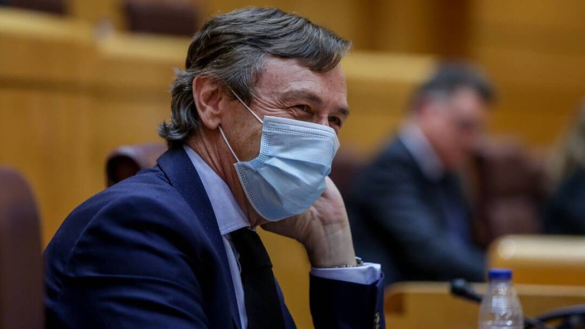 Rafael Hernando en el Senado