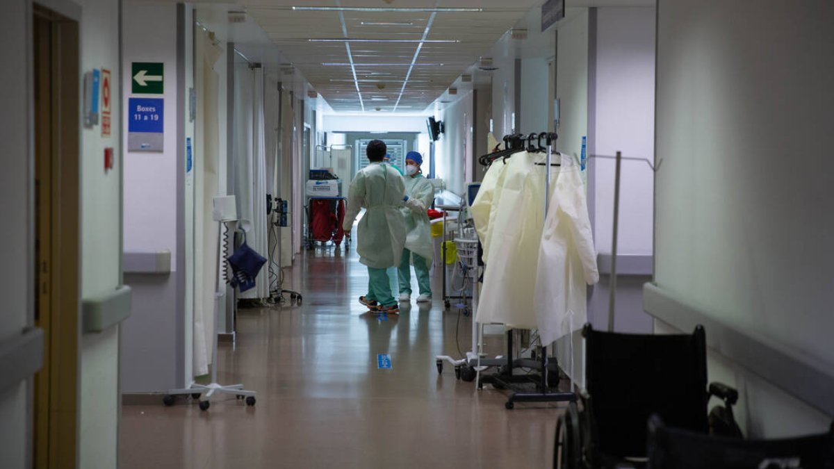 Hospital Universitario de Torrevieja.