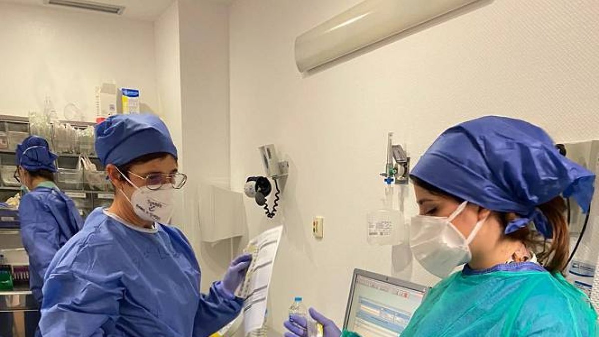 Ribera Salud refuerza con 448 profesionales sus hospitales