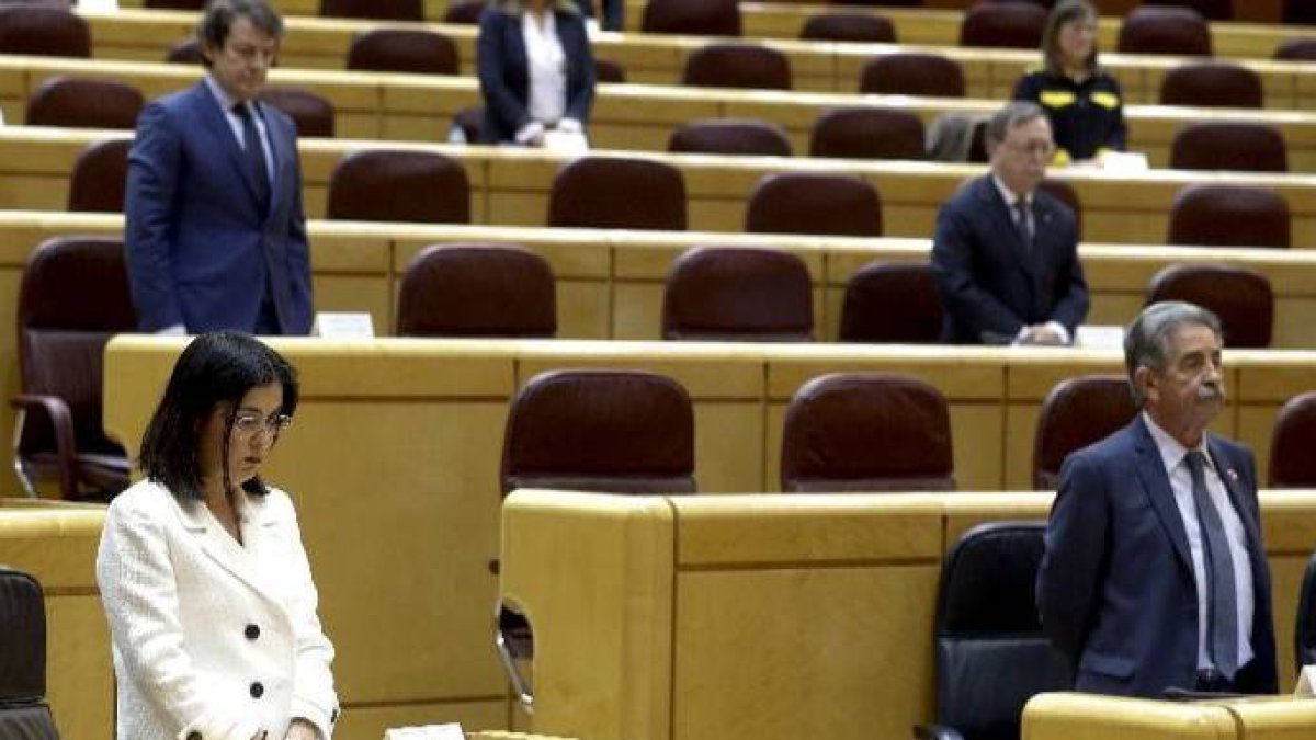 La ministra Carolina Darías, este jueves en el Senado.
