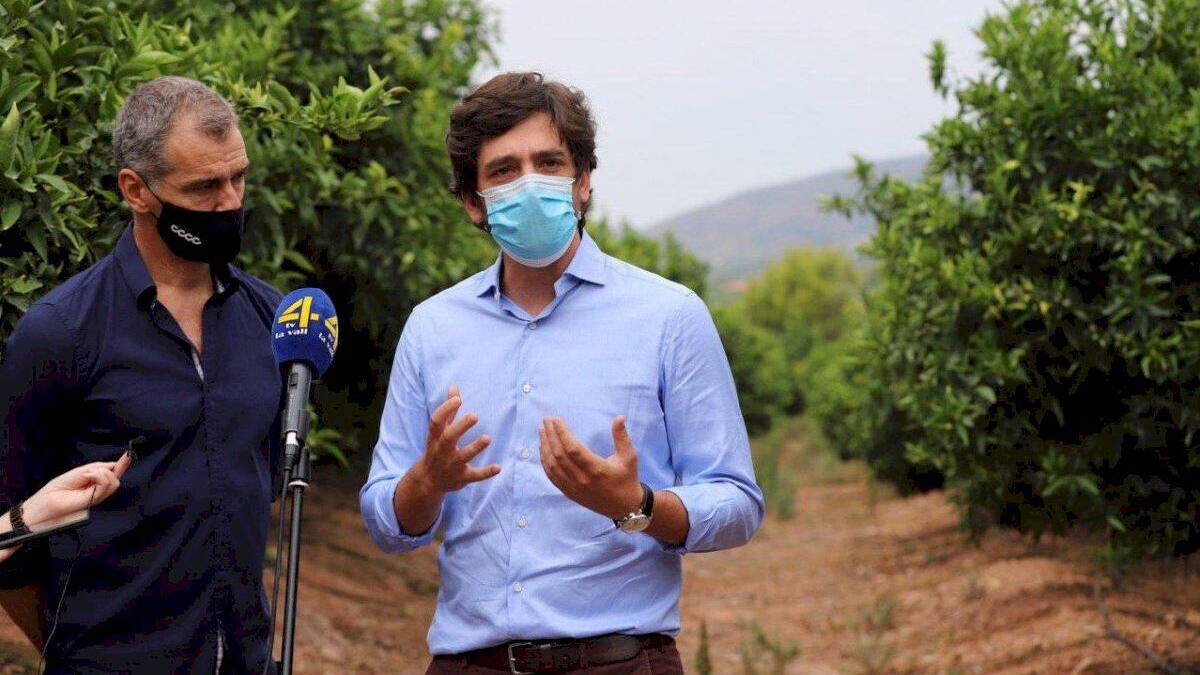 El equipo de Ciudadanos visita los campos valencianos afectados por el 'cotonet'.