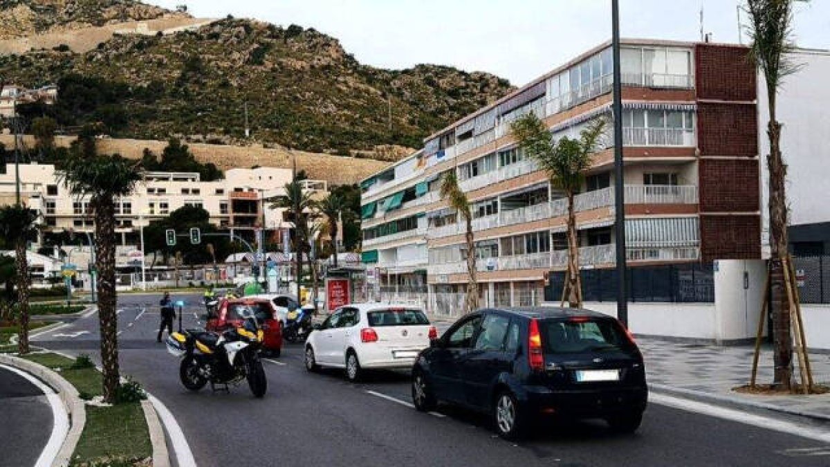 Los agentes han intervenido en domicilios y en controles de alcoholemia durante el fin de semana