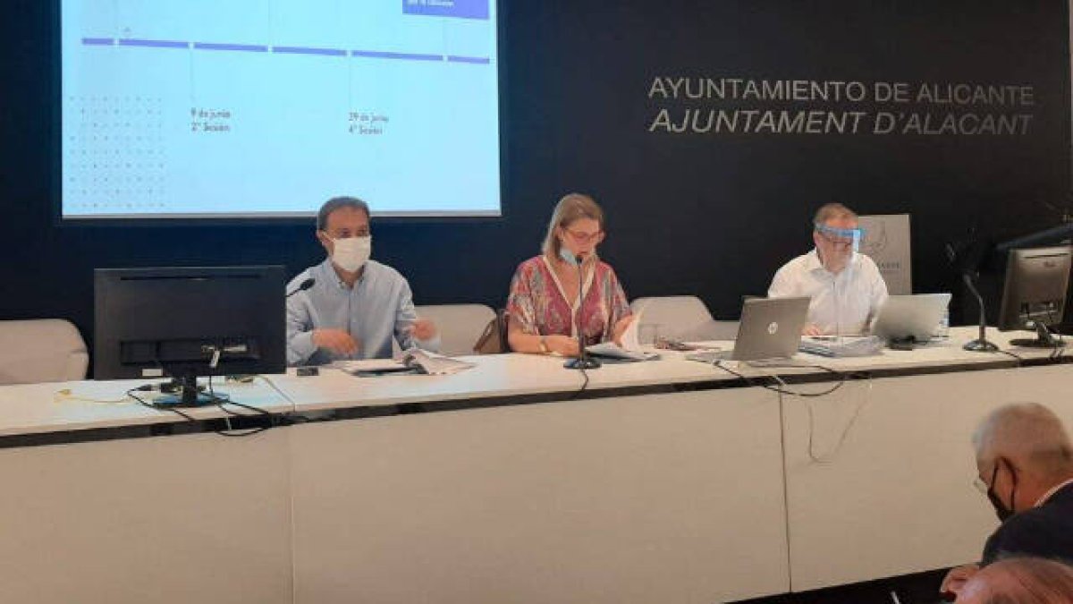 Mari Carmen de España, concejala de Desarrollo Económico de Alicante en las subcomisión de economía y empleo / FOTO de archivo