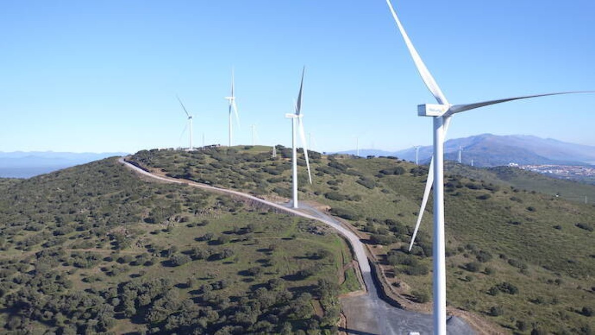 Naturgy, reconocimiento internacional a su apuesta por el medio ambiente