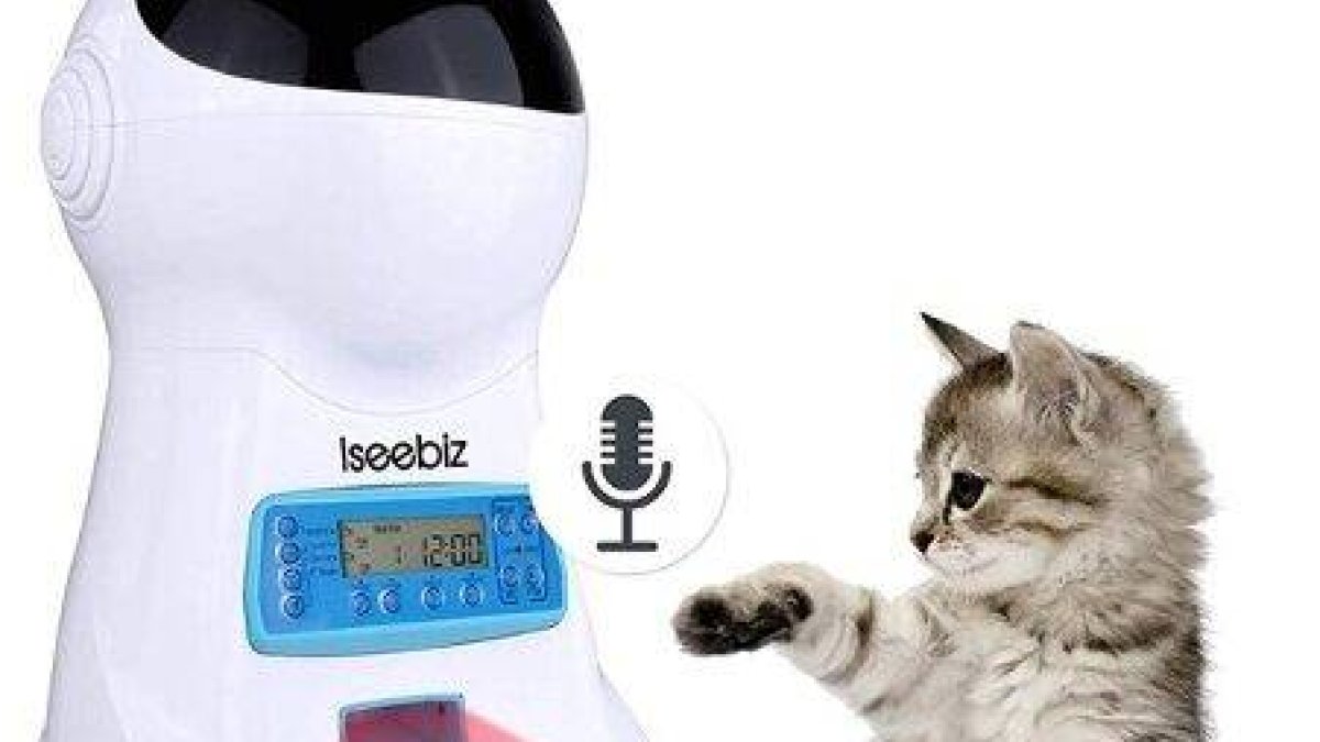 Iseebiz: el alimentador automático para mascotas