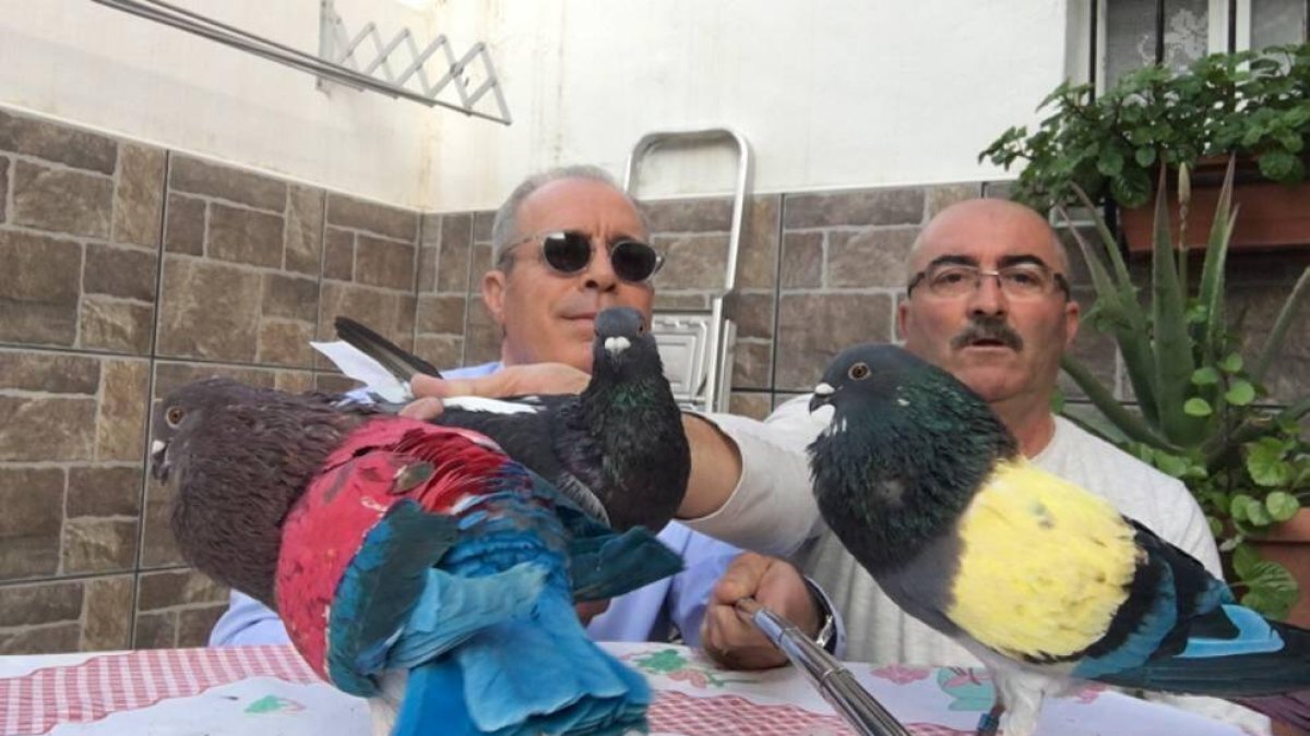 Colombicultores