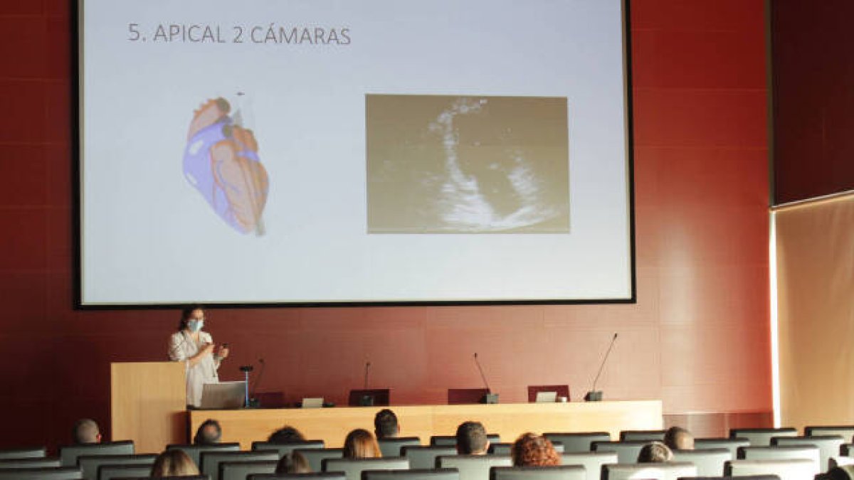 Taller de Cirugía Cardíaca del Hospital Universitario del Vinalopó