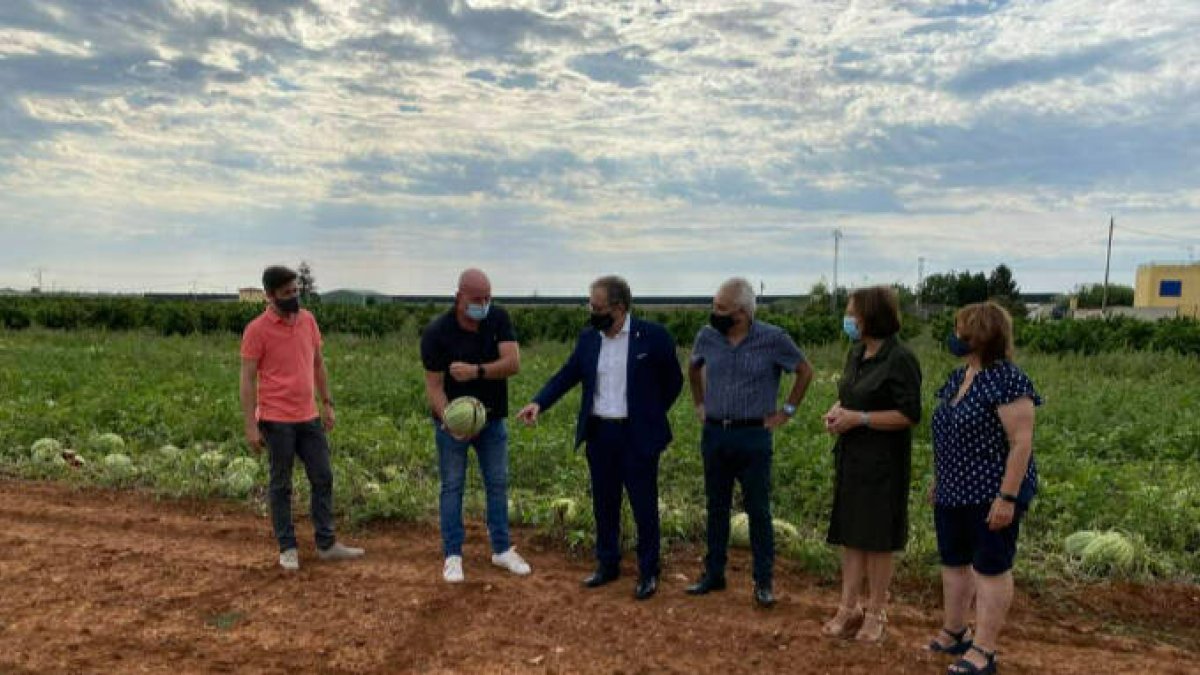 El presidente de la institución, José Martí, ha visitado Benicarló junto a la alcaldesa y diputada provincial, Xaro Miralles, para conocer in situ las consecuencias del pedrisco