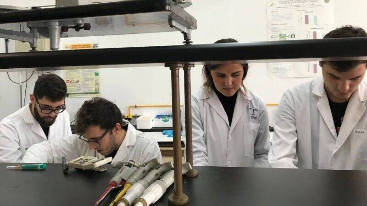 Ensayos para una nueva patente alimentaria en la Universidad de Sevilla.