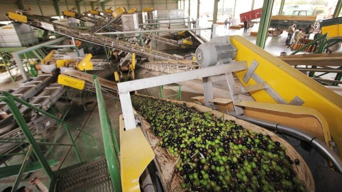 Almazara de aceite de oliva en Jaén.