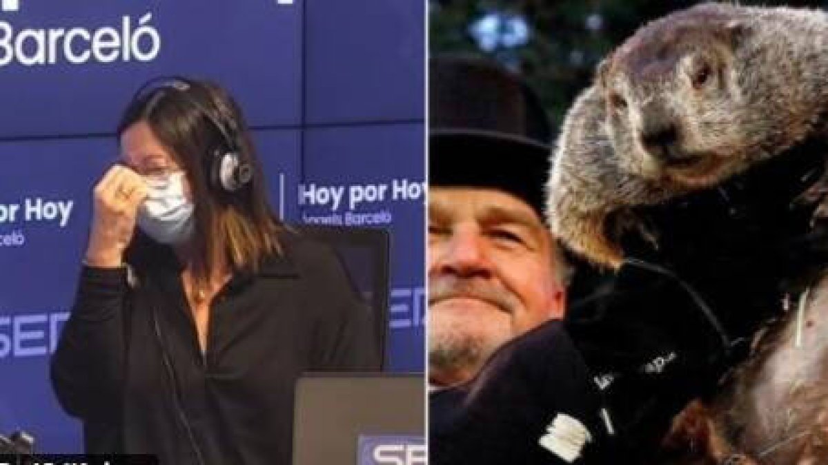 El ataque de risa de Àngels Barceló en el programa Hoy por Hoy por la muerte de la marmota.