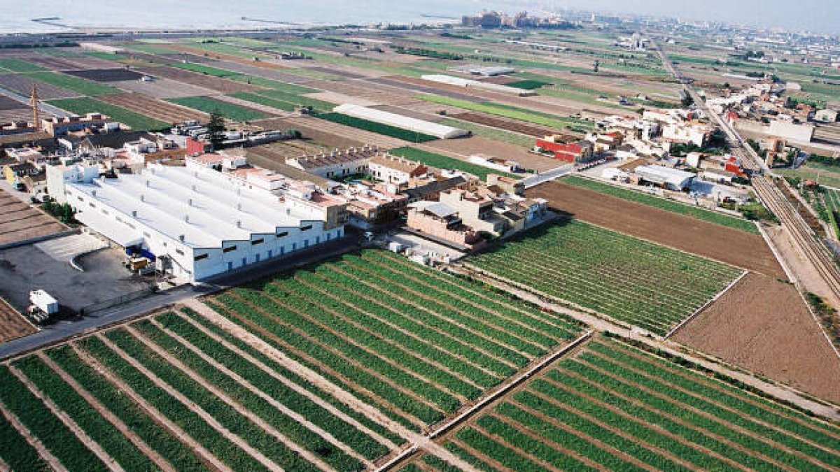 España consolida su liderazgo como primer productor de piensos de la UE con 38,8 millones de toneladas en 2024