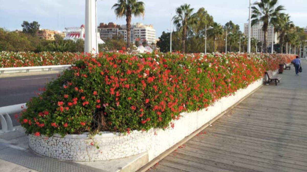 Foto de archivo del Puente de las Flores en Valencia
