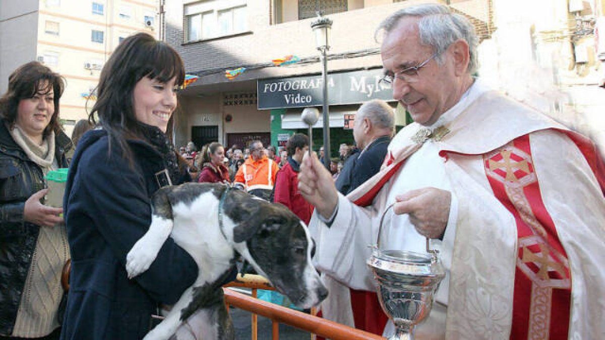 Bendición de animales en Valencia en pasadas ediciones