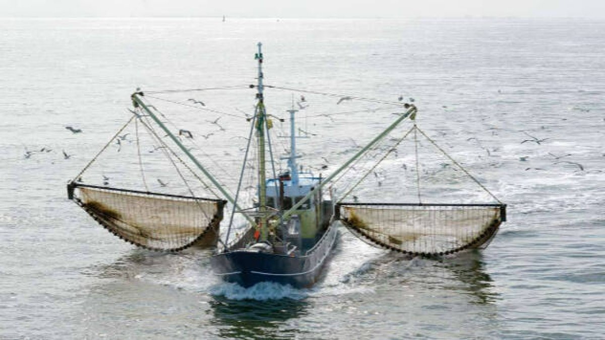Pesca de arrastre