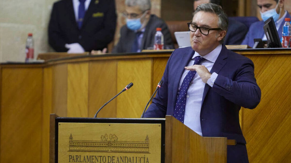 El portavoz del grupo parlamentario Vox, Manuel Gavira, en un pleno.