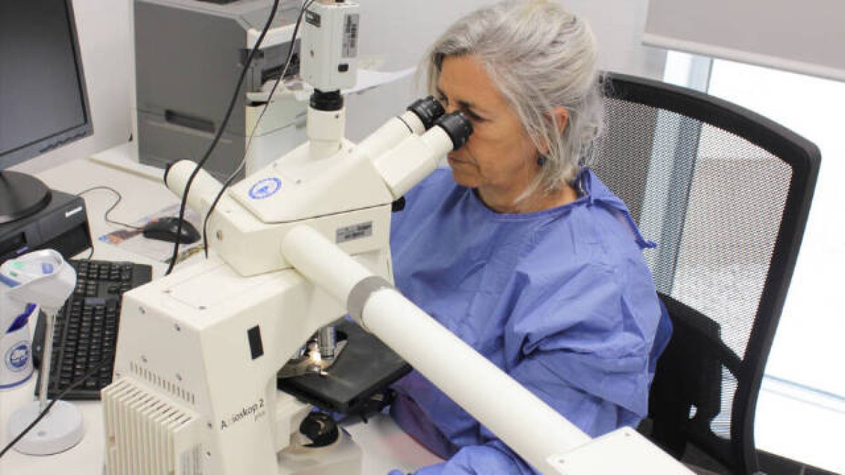 Dra Laia Bernet, coordinadora Patología Ribera