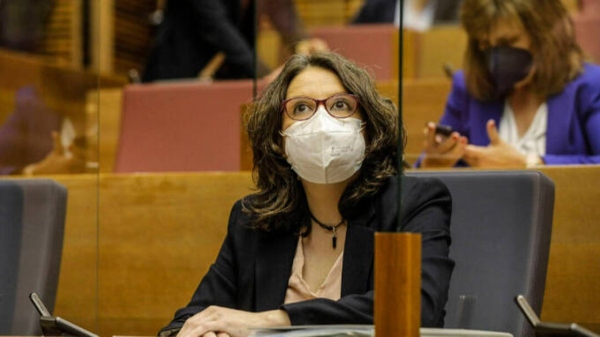 La vicepresidenta del Gobierno de la Comunidad Valenciana y consellera de Políticas de Igualdad, Mónica Oltra, durante una rueda de prensa en Les Corts